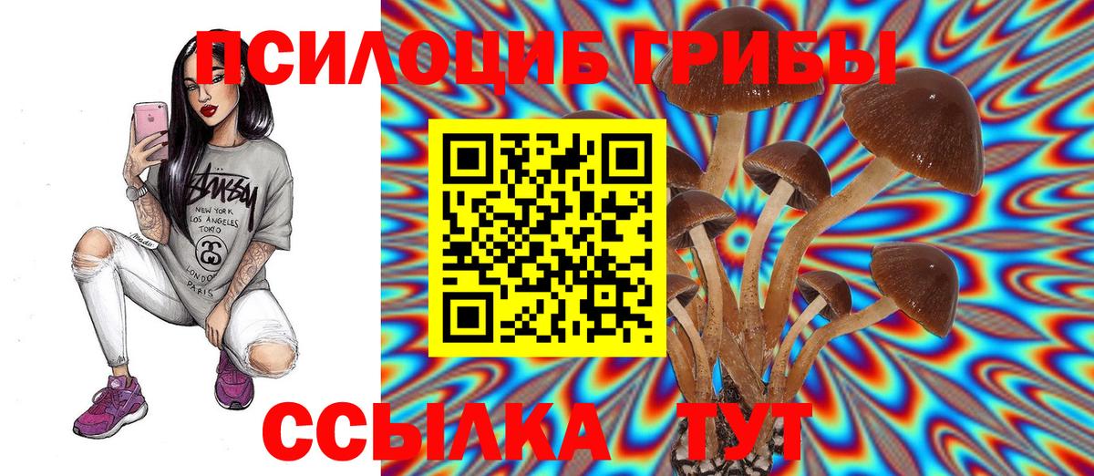 Галлюциногенные грибы прущие грибы Тюмень